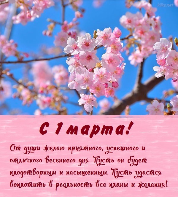 Открытки на 1 Марта